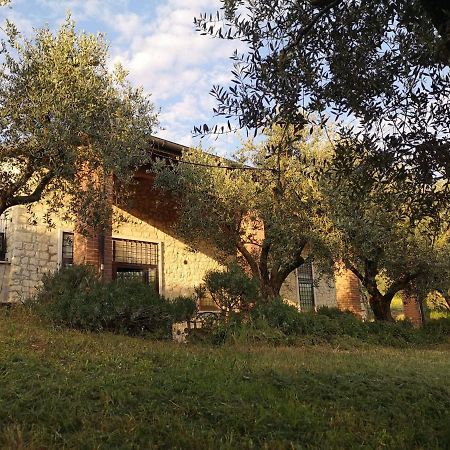 Agriturismo Bosco Magico فيرونا المظهر الخارجي الصورة