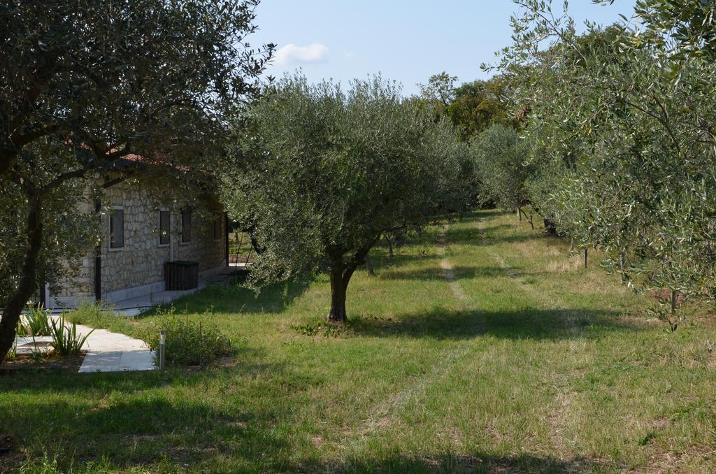 Agriturismo Bosco Magico فيرونا المظهر الخارجي الصورة