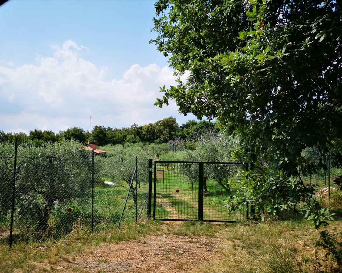 Agriturismo Bosco Magico فيرونا المظهر الخارجي الصورة